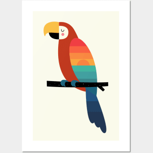 Sunset Parrot Posters and Art